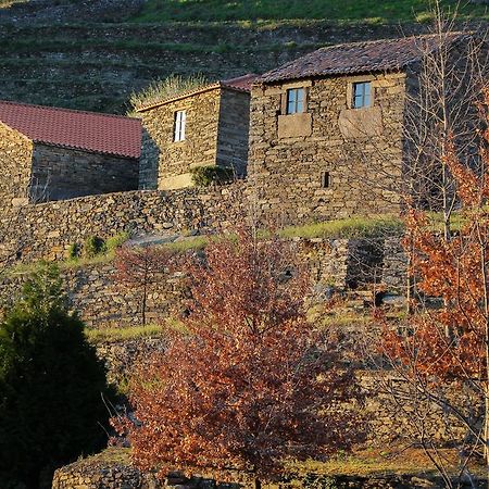 Cardenha Do Douro Villa Mesão Frio Værelse billede