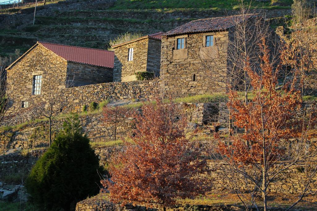 Cardenha Do Douro Villa Mesão Frio Værelse billede